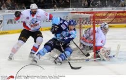       10.01.2012  | Eishockey DEL Hamburg Freezers - Thomas Sabo Ice Tigers