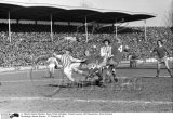 50 Jahre Bundesliga