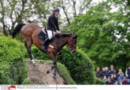 Pferdesport Reiten Springreiten
