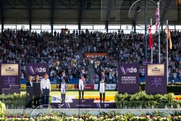 Pferdesport Reiten Springreiten