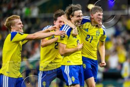          14.06.2026 | Fussball FIFA WM 2026 Schweden - Tunesien