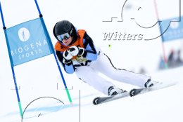 Wintersport Ski Alpin