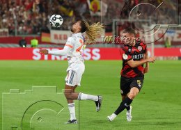 Fussball