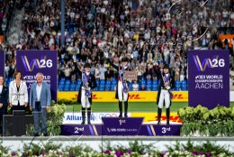 Pferdesport Reiten Springreiten