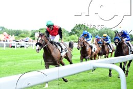 Pferdesport Reiten Galopp