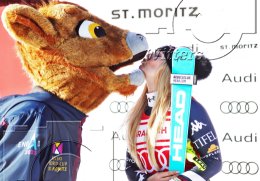 Wintersport Ski Alpin