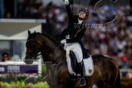 Pferdesport Reiten Springreiten