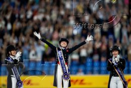 Pferdesport Reiten Springreiten