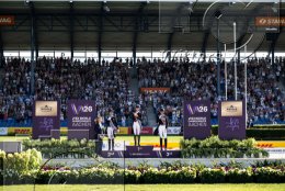 Pferdesport Reiten Springreiten