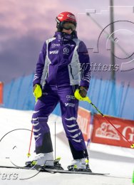 Wintersport Ski Alpin