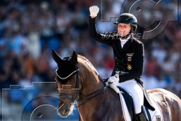 Pferdesport Reiten Springreiten