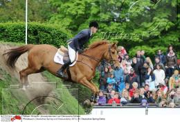 Pferdesport Reiten Springreiten
