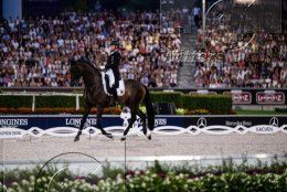 Pferdesport Reiten Springreiten