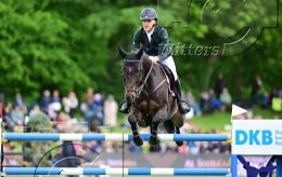 Pferdesport Reiten