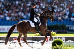 Pferdesport Reiten Springreiten