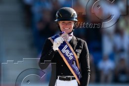 Pferdesport Reiten Springreiten