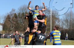 Rugby