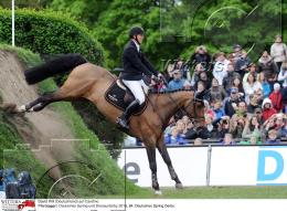 Pferdesport Reiten Springreiten
