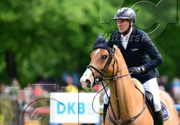 Pferdesport Reiten