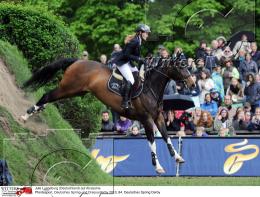 Pferdesport Reiten Springreiten