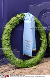 Pferdesport Reiten Springreiten
