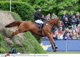 Pferdesport Reiten Springreiten