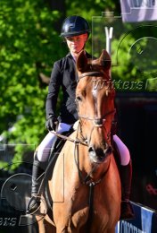 Pferdesport Reiten