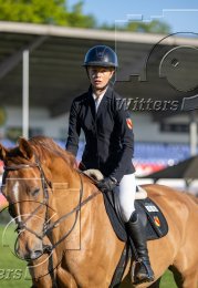 Pferdesport Reiten