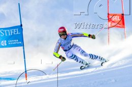 Wintersport Ski Alpin