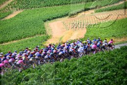Radsport