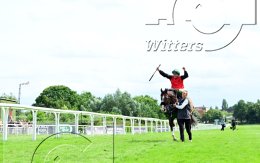 Pferdesport Reiten Galopp