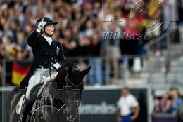 Pferdesport Reiten Springreiten