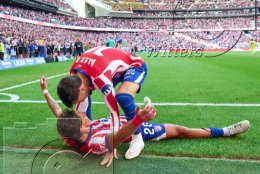 HIGHLIGHTS