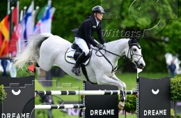 Pferdesport Reiten