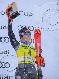 Wintersport Ski Alpin