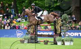 Pferdesport Reiten