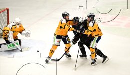 Wintersport Eishockey