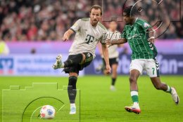 Fussball