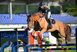 Pferdesport Reiten