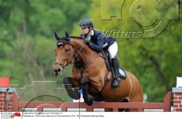 Pferdesport Reiten Springreiten
