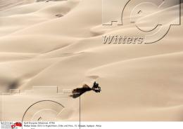 Motorsport Rallye