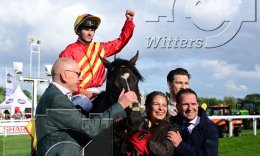 Pferdesport Reiten Galopp