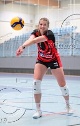 Volleyball