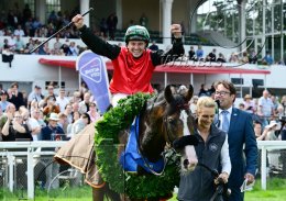 Pferdesport Reiten Galopp