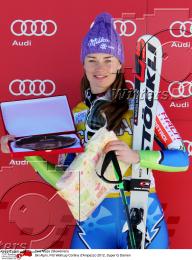 Wintersport Ski Alpin