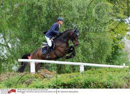 Pferdesport Reiten Springreiten