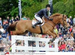 Pferdesport Reiten Springreiten