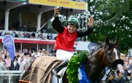 Pferdesport Reiten Galopp
