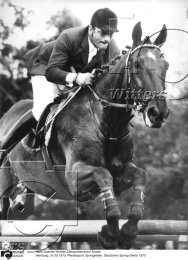 Pferdesport  Springreiten