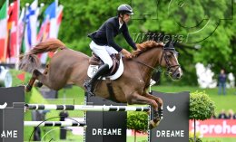 Pferdesport Reiten